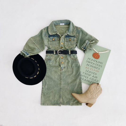 Vintage Wash Denim Dress