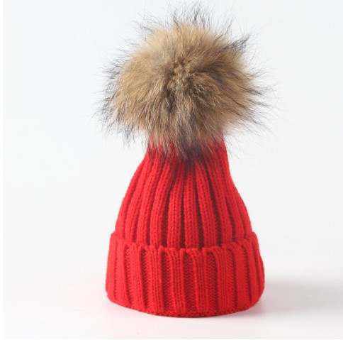 Pom Pom Holiday Beanie